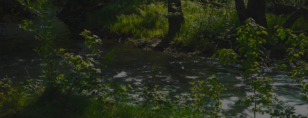 Protect Your Legacy Background Image